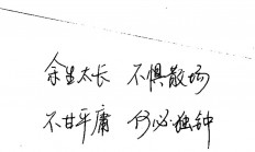 爱游戏vip注册-关于梅斯取得胜利后，豪言在联赛中并不甘于平庸的信息