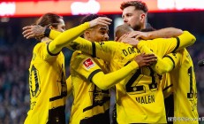 爱游戏直播-勒沃库森横扫对手，取得胜利的简单介绍