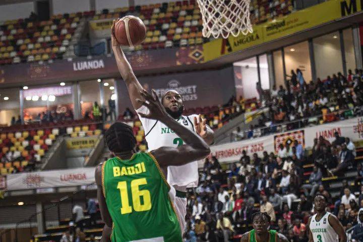 非洲杯篮球赛前几名球队竞争激烈